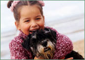 Looking after pets Looking after pets